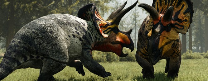 Dois ceratopsianos se enfrentando de chifres baixos